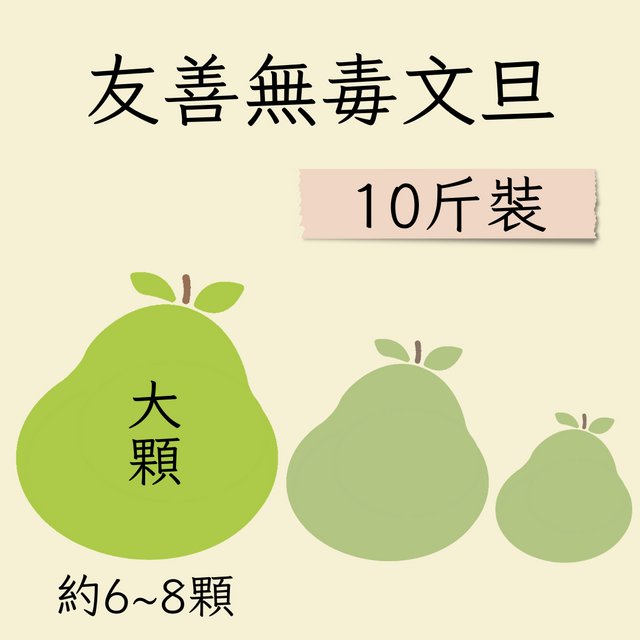 大顆友善文旦 10斤裝 (約6-8顆)