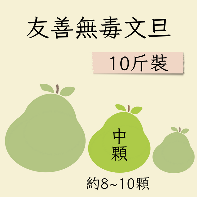 中顆友善文旦 10斤裝 (約8-10顆)