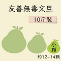 小顆友善文旦 10斤裝 (約12-14顆)
