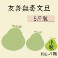 小顆友善文旦 5斤裝(約6-7顆)
