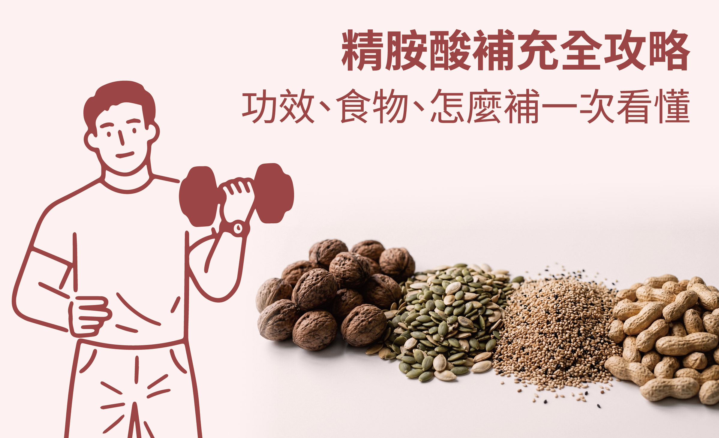 精胺酸補充全攻略｜功效、食物、怎麼補一次看懂