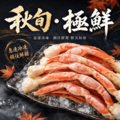 【藏壽司 KURA】日本極鮮松葉蟹腳禮盒｜1kg・產季急凍直送