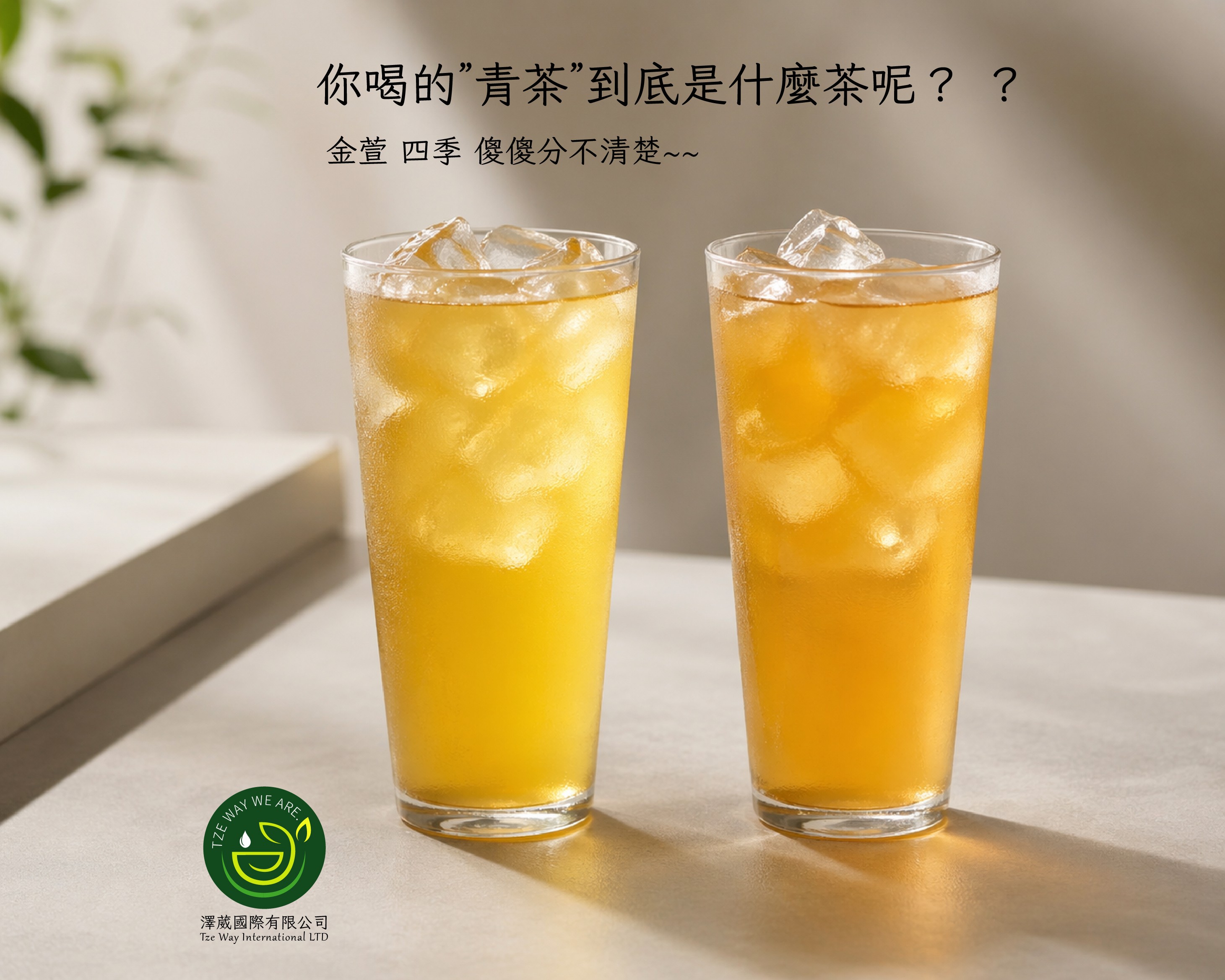 [TeaTalk-029] 你喝的【青茶】到底是什麼茶？｜澤葳國際有限公司