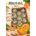 【常溫 / 冷藏】紅肉哈密瓜｜11公斤-1