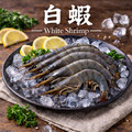 【冷凍】白蝦｜850克
