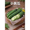 【常溫 / 冷藏】新鮮小黃瓜｜1公斤