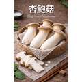 【冷藏】新鮮杏鮑菇｜1公斤