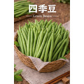 【常溫 / 冷藏】四季豆｜1公斤