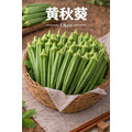 【常溫 / 冷藏】黃秋葵｜1公斤