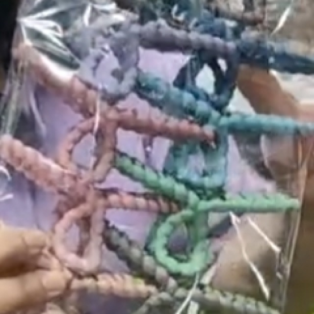 54標 大號繩圈髮夾/支