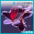 13玄武海