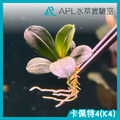 卡佩特4(K4)