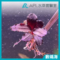 數碼海