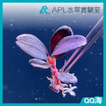 QQ海