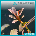 迷你幻影