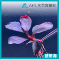 硬幣海