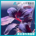 黑岩瀑布海蓮娜