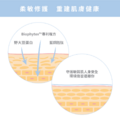 信我者得保濕 | 藍銅潤彈精華液-3