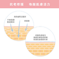 美得猖狂 | 蘋果賦活精華液-3