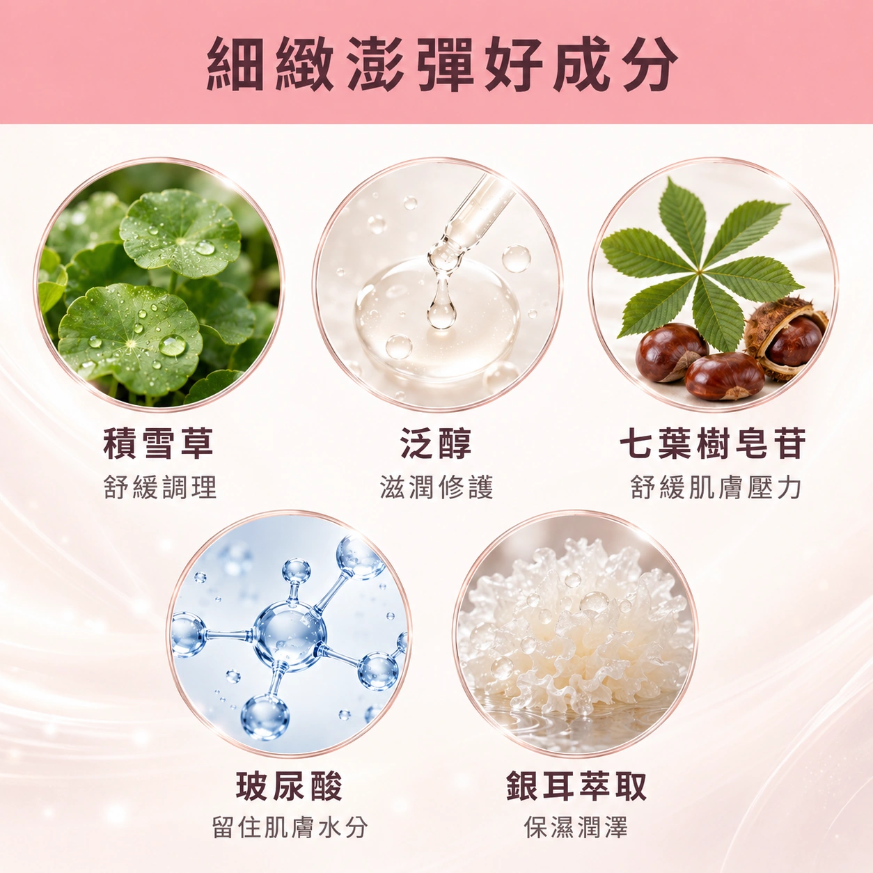 朵韻賦活精華霜的細緻澎彈好成分:積雪草舒緩調理、泛醇滋潤修護、七葉樹皂苷舒緩肌膚壓力、玻尿酸留住水分、銀耳萃取保濕潤澤