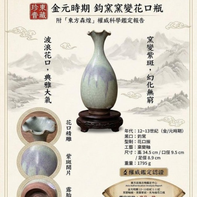 【古董珍藏】大件 34.5cm 鈞窯窯變紫斑花口瓶：經顯微元素分析，金元時期真品