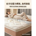 【天珠寺磁場】告別腰痠背痛！瑞士Sanitized抗菌乳膠床墊｜新莊30年工廠直營・核心強化支撐
