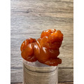 【文玩雅藏】天然蜜糖色 招財貔貅/瑞獸 手把件(約7.1cm) | 壽山石類 溫潤凍感 鎮宅辟邪 風水擺件 茶寵 附錦盒-14