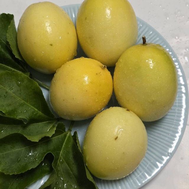 黃金百香果 | 麻柚果園 | 5斤一箱