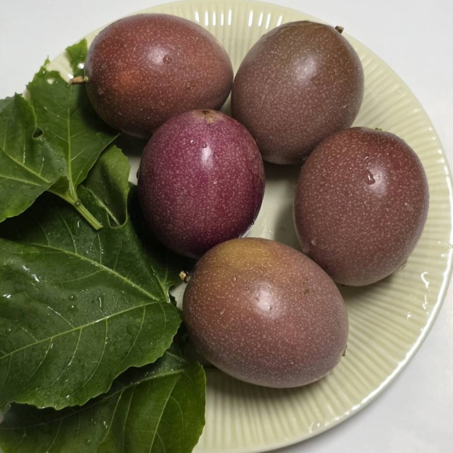 藍星百香果 | 麻柚果園 |  5斤一箱 