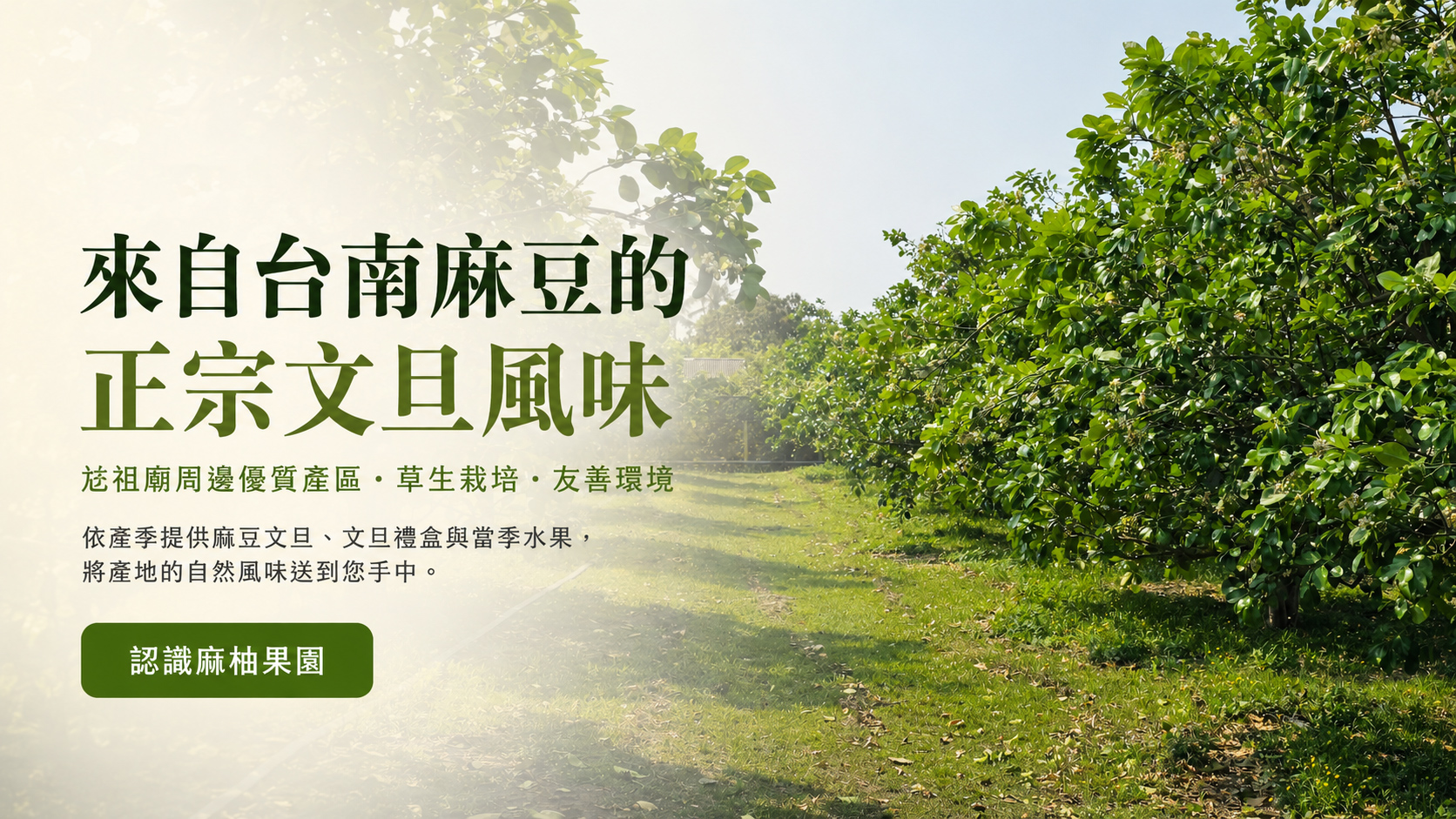 麻柚果園果園實景