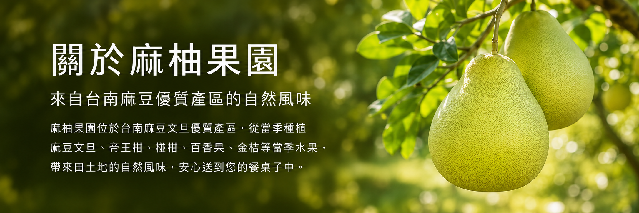 關於麻柚果園，來自台南麻豆優質產區的麻豆文旦、帝王柑、椪柑、百香果與金桔
