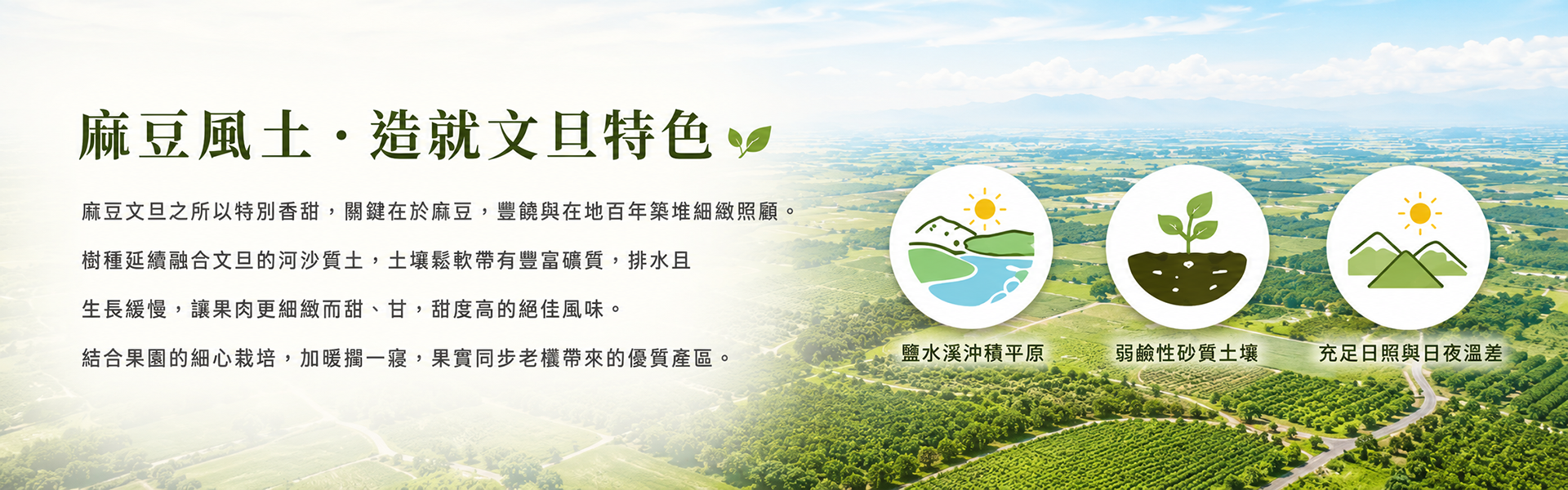 麻豆風土造就文旦特色，曾文溪沖積平原、帶黏性的鹼性土壤與充足日照