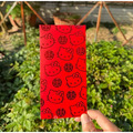 蠟筆小新紅包袋-30