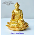 蓮花佛祖奧特曼-1