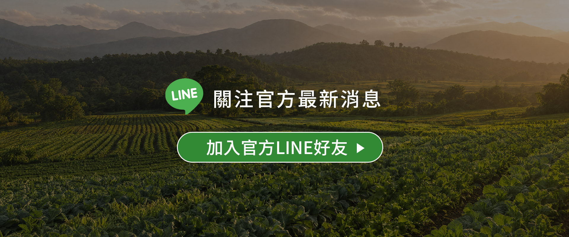 秋香健康LINE加入好友
